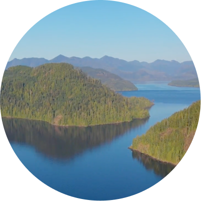About the Treaty Society-everything-is-connected