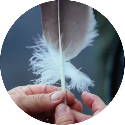 About the Treaty Society-take-responsibility