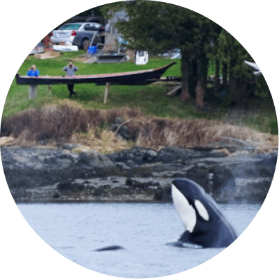 About the Treaty Society-orca